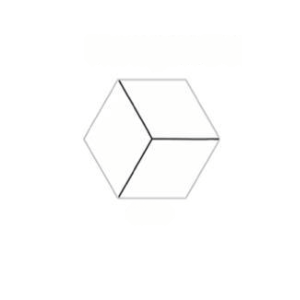 Hexagon porcelain tiles