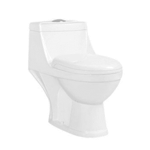 One-piece washdown toilet