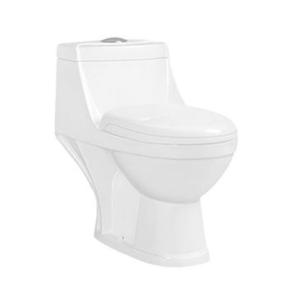One-piece washdown toilet