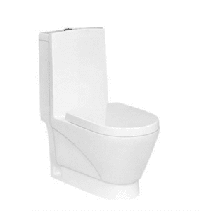 Washdown one-piece toilet