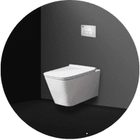 wall hung toilet