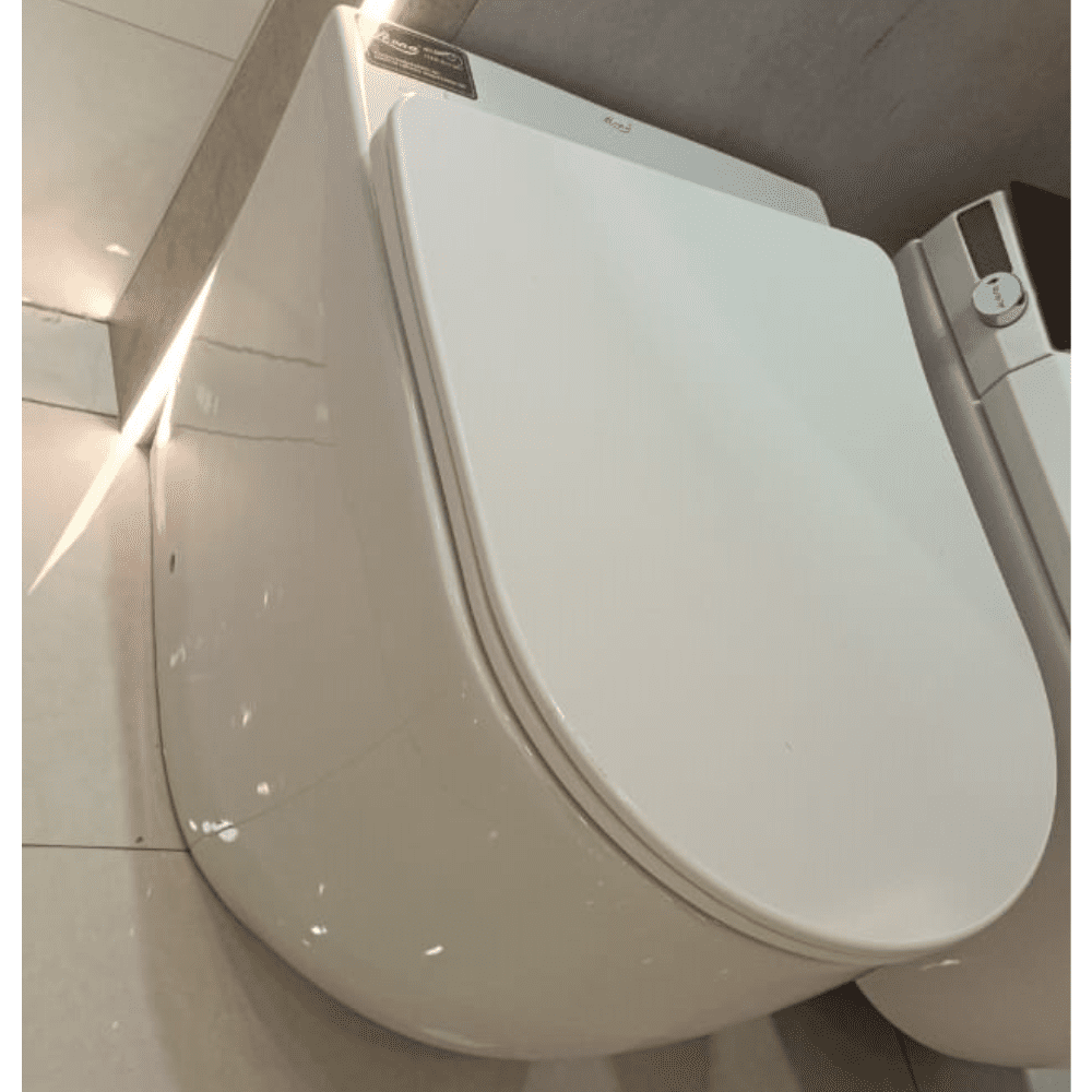 washdown toilet