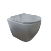 Wall hung toilet